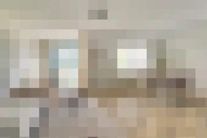 Pasteurstraat 31 Dieren thumbnail 8