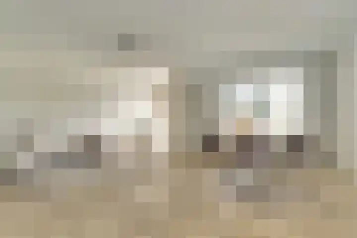 Pasteurstraat 31 Dieren thumbnail 9