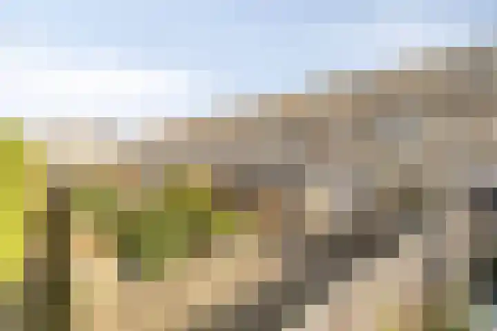 Pasteurstraat 31 Hoogerheide thumbnail 10