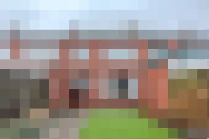 Pasteurstraat 31 Hoogerheide thumbnail 31