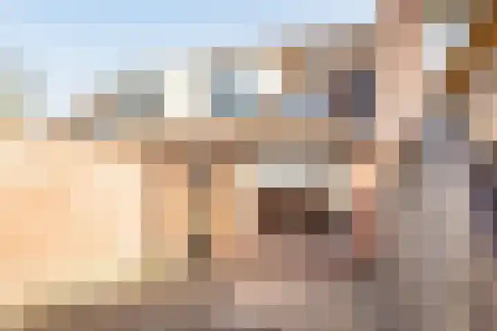 Pasteurstraat 31 Hoogerheide thumbnail 33