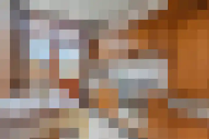 Pasteurstraat 31 Hoogerheide thumbnail 4