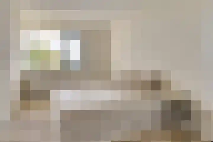 Pasteurstraat 33 Dieren thumbnail 15