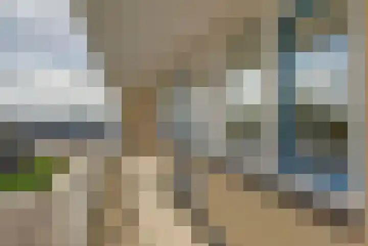 Pasteurstraat 33 Dieren thumbnail 21