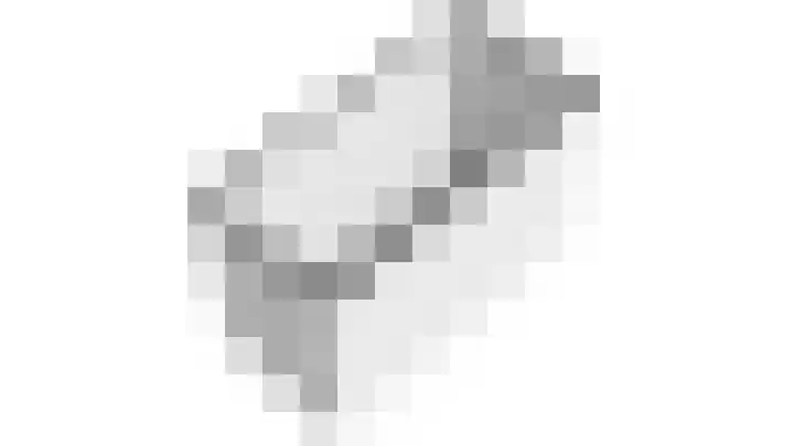 Pasteurstraat 33 Dieren thumbnail 33