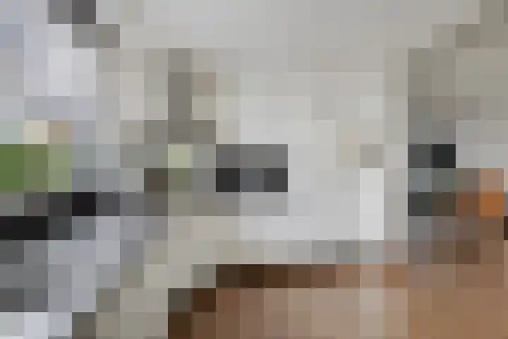 Pasteurstraat 4 Didam thumbnail 13