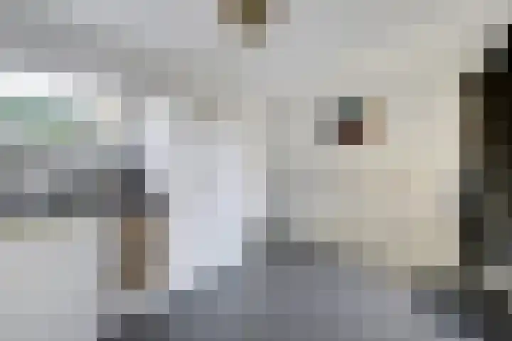 Pasteurstraat 4 Didam thumbnail 16