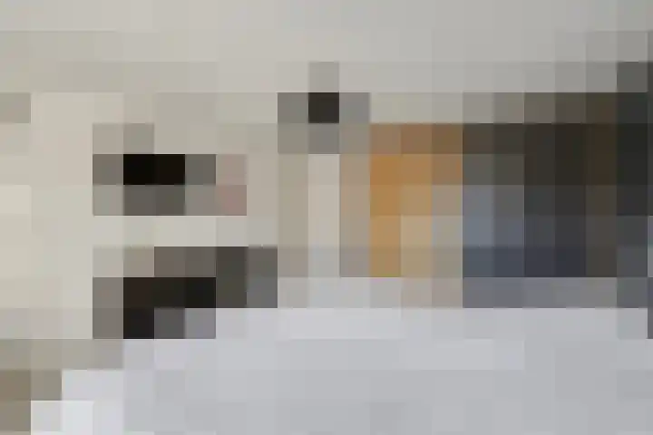 Pasteurstraat 4 Didam thumbnail 26