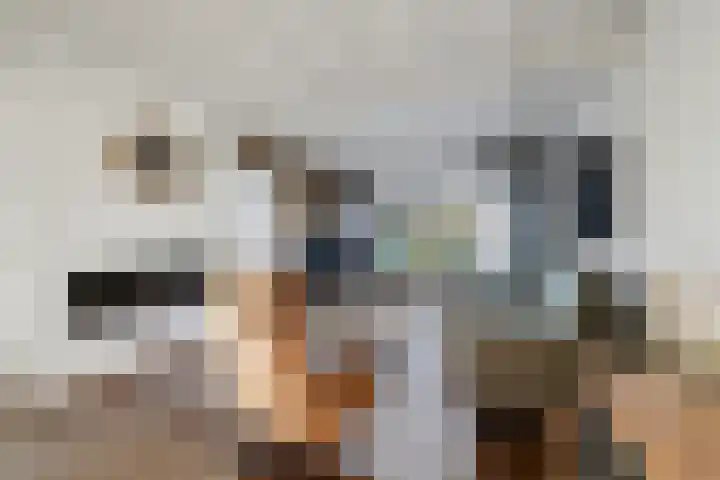 Pasteurstraat 4 Didam foto 3