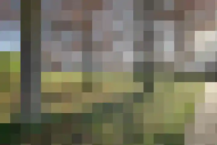 Pasteurstraat 4 Didam thumbnail 44