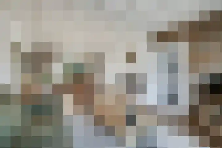 Pasteurstraat 4 Didam thumbnail 9