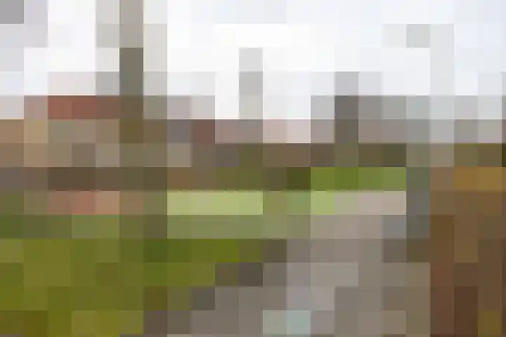 Pasteurweg 45 Leeuwarden thumbnail 48