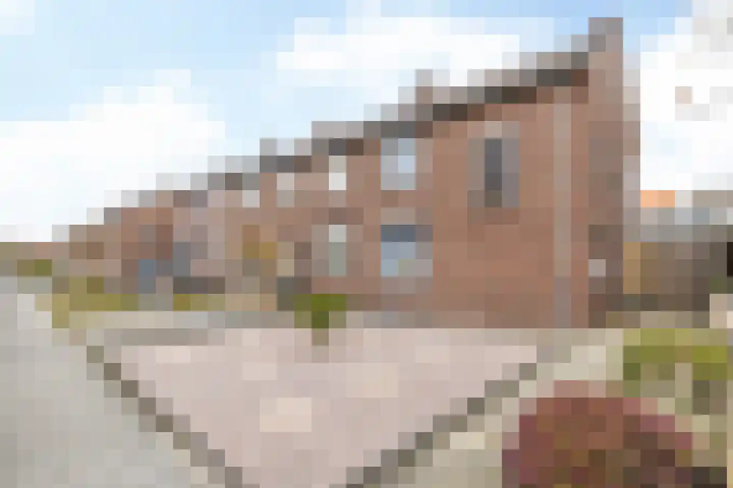 Pastoor Brounsstraat 31 in Schinveld