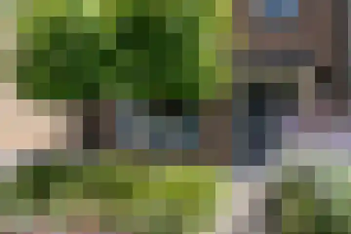 Pastoor Brugmanstraat 9 Pannerden thumbnail 4