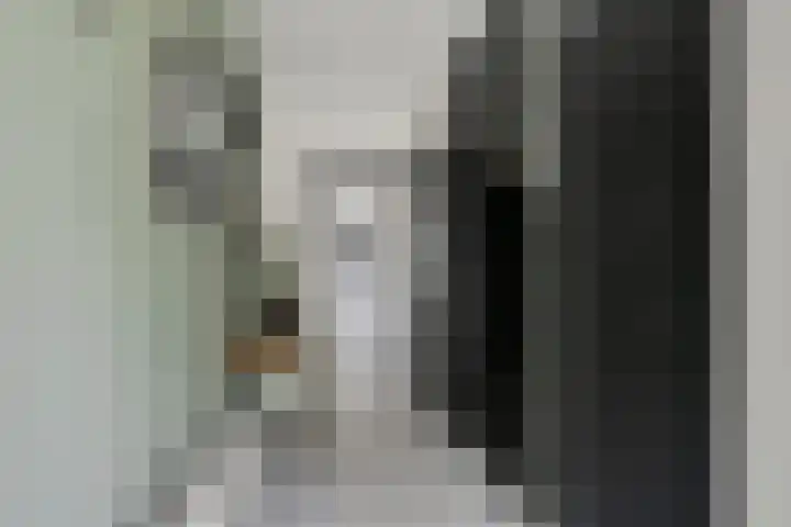 Pastoor Brugmanstraat 9 Pannerden thumbnail 5
