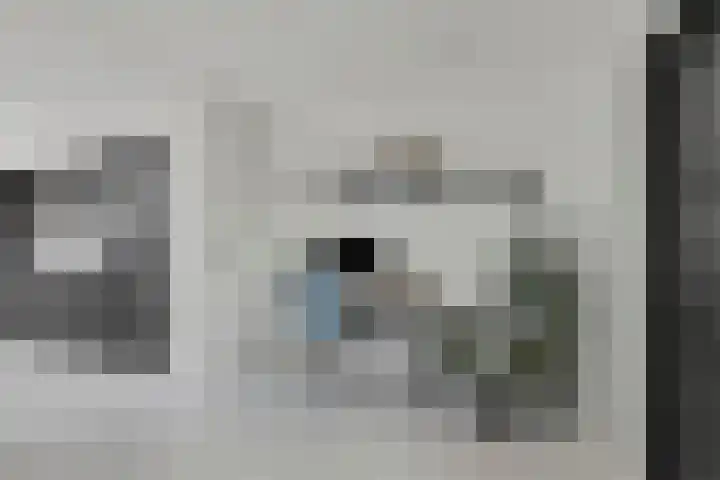 Pastoor Brugmanstraat 9 Pannerden thumbnail 8