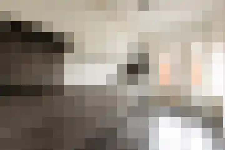 Pastoor de Witstraat 10 Putte thumbnail 13