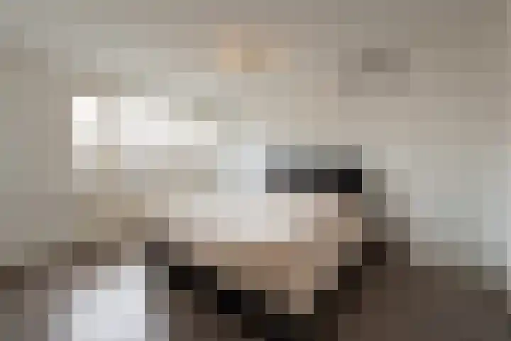 Pastoor de Witstraat 10 Putte thumbnail 17