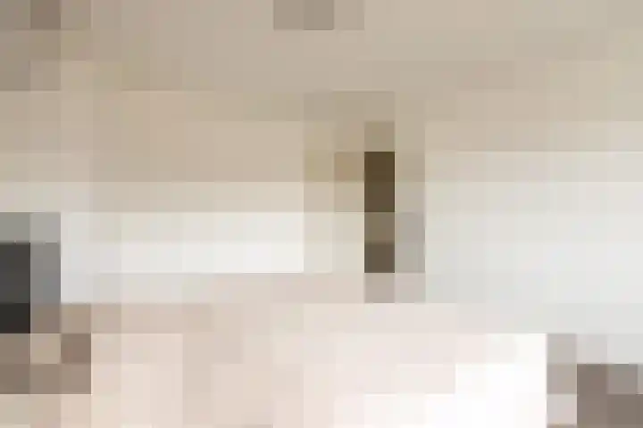 Pastoor de Witstraat 10 Putte thumbnail 18