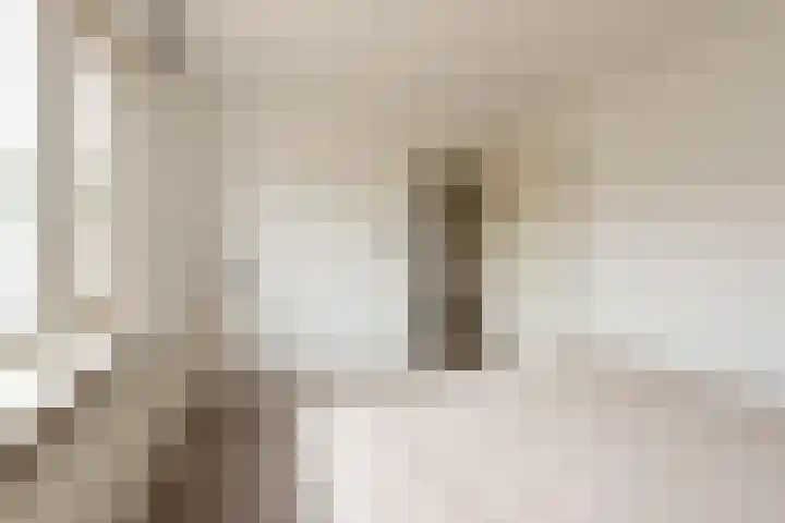 Pastoor de Witstraat 10 Putte thumbnail 20