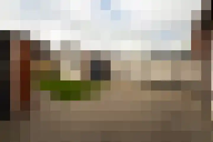 Pastoor de Witstraat 10 Putte thumbnail 29