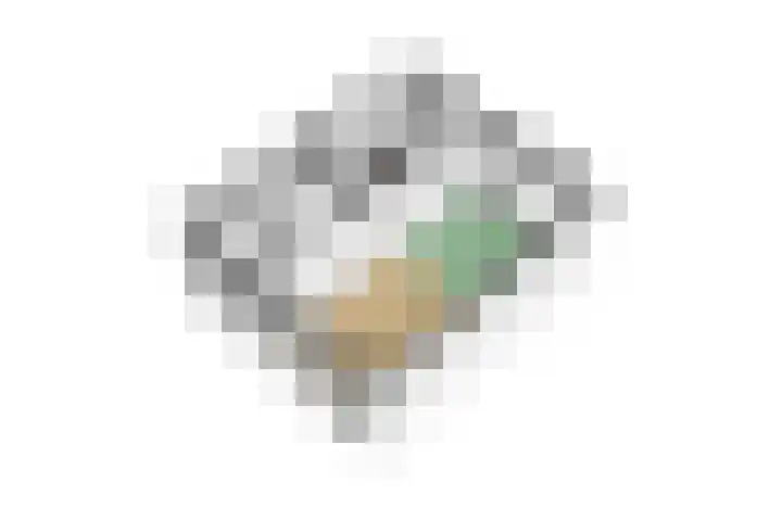 Pastoor de Witstraat 10 Putte thumbnail 40