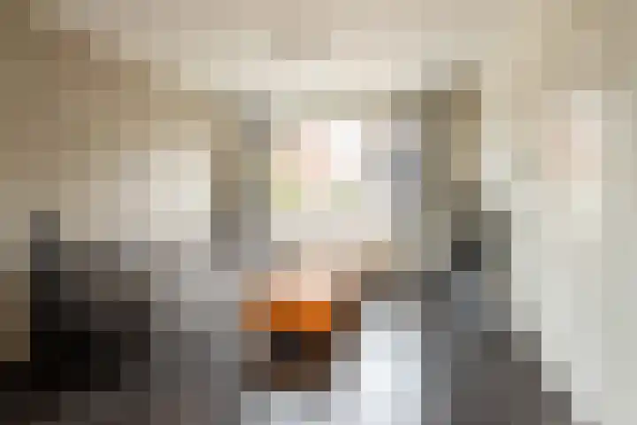 Pastoor de Witstraat 10 Putte thumbnail 6