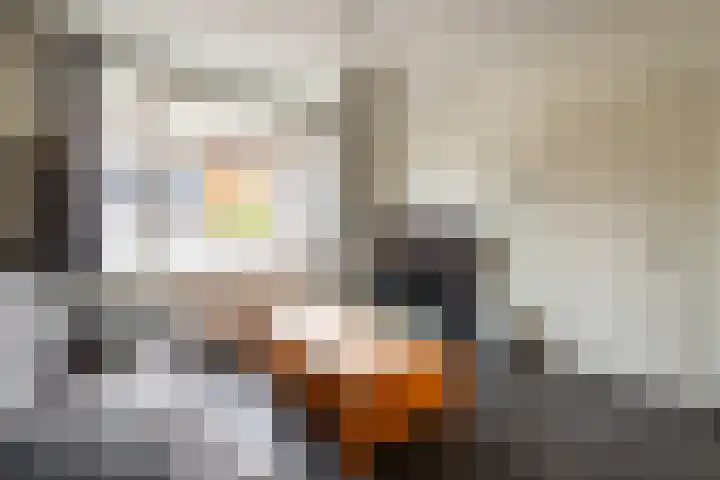 Pastoor de Witstraat 10 Putte thumbnail 7