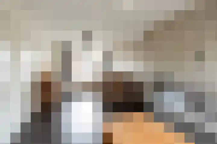 Pastoor de Witstraat 10 Putte thumbnail 8