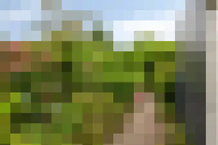 Pastoor Kerckerstraat 4 Steenbergen thumbnail 23