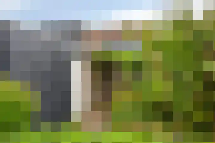 Pastoor Kerckerstraat 4 Steenbergen thumbnail 24