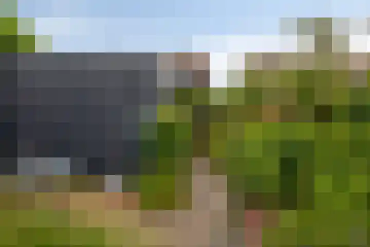 Pastoor Kerckerstraat 4 Steenbergen thumbnail 25