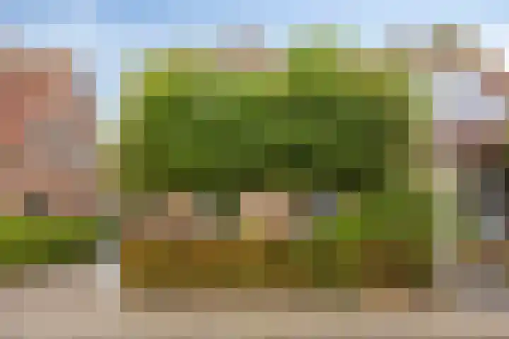 Pastoor Kerckerstraat 4 Steenbergen thumbnail 34