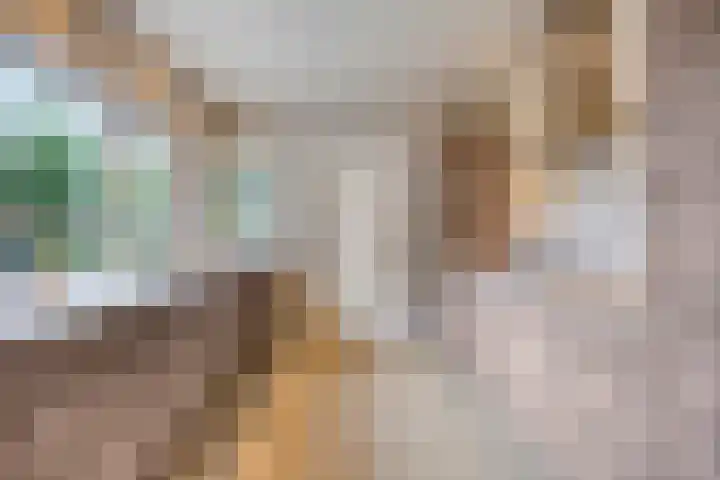 Pastoor Kerckerstraat 4 Steenbergen thumbnail 9