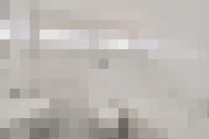 Pastoor van Hapertstraat 4 Lith thumbnail 30
