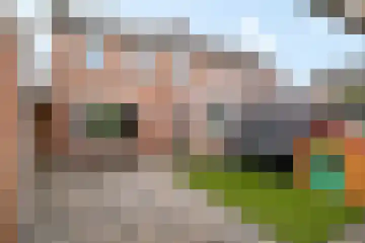 Pastoor van Hapertstraat 4 Lith thumbnail 4