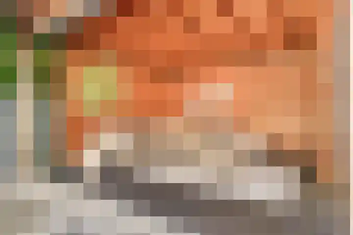 Pastoors acker 21 Heemskerk thumbnail 28