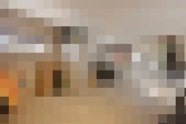 Pastoorsdreef 18 Zundert thumbnail 32