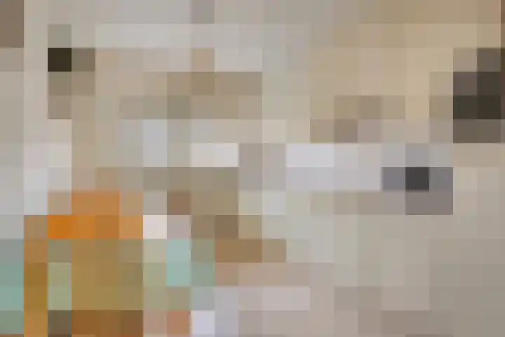 Pastoorsdreef 18 Zundert thumbnail 4