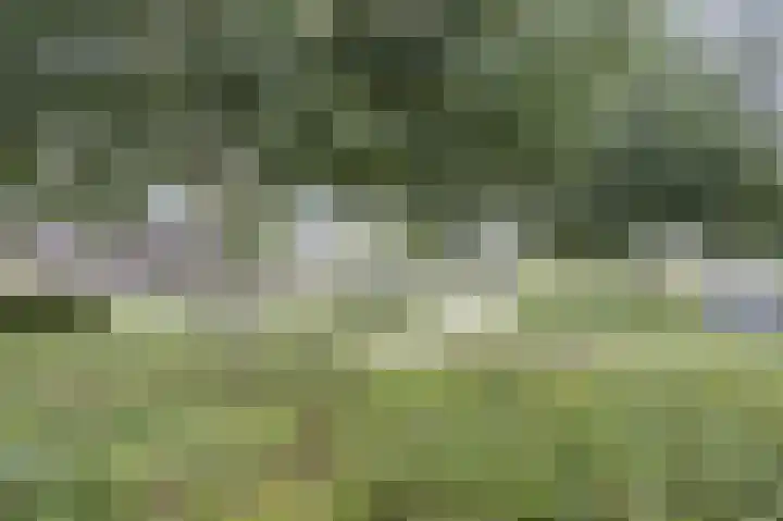 Pastorale 18 Dronten thumbnail 28