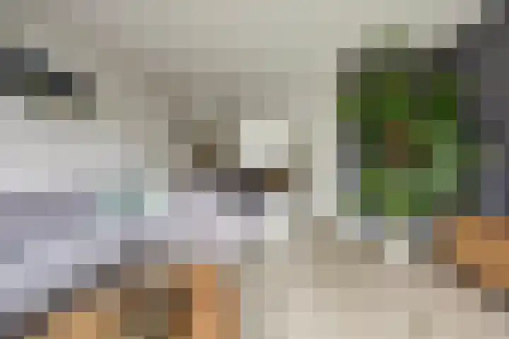 Pastorale 7 Dronten thumbnail 12