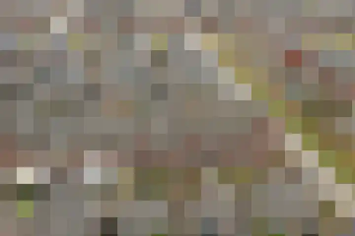 Pastorale 7 Dronten thumbnail 37