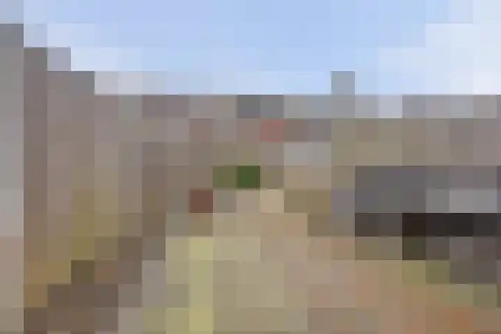 Pastorale 7 Dronten thumbnail 41