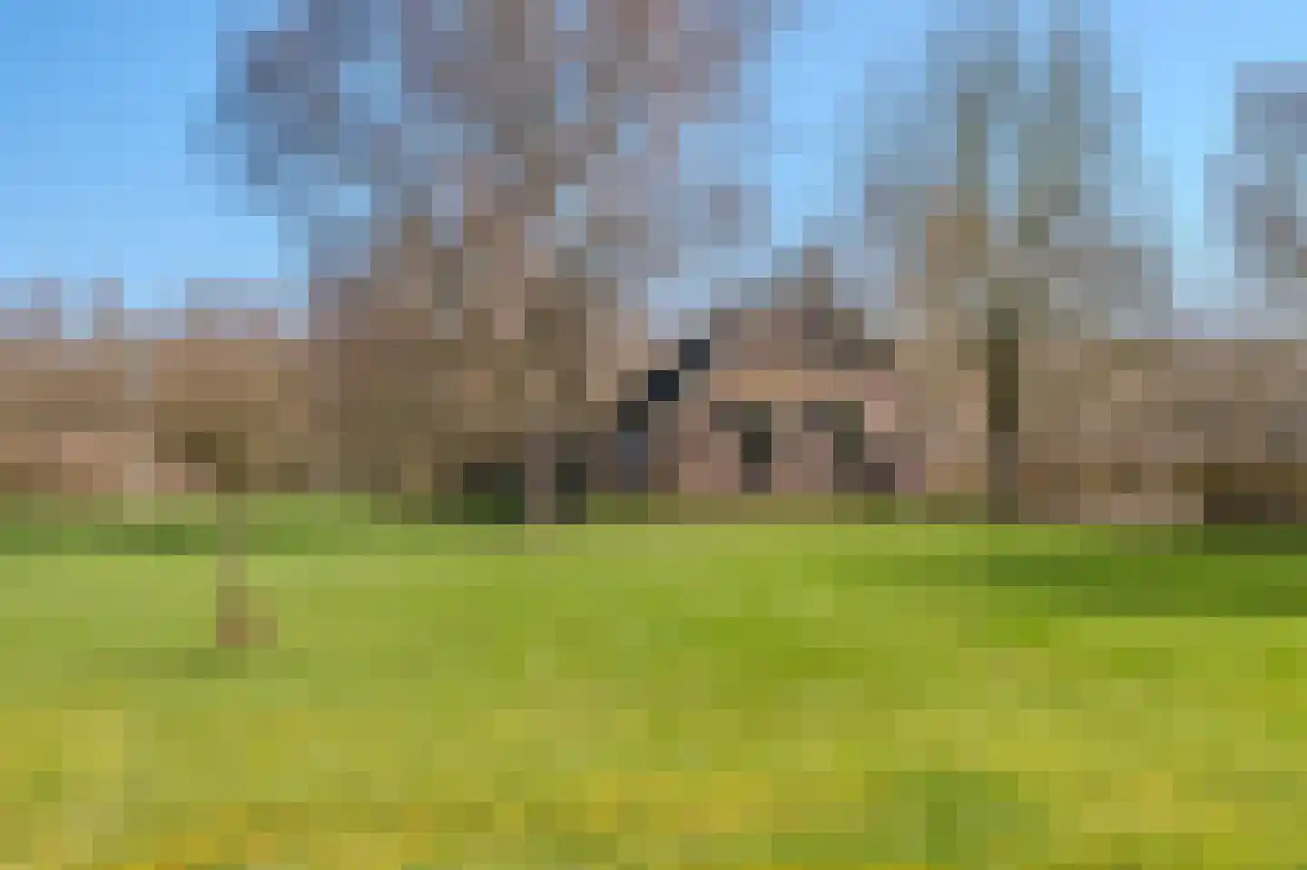 Pastorielaan 1 in Vriescheloo