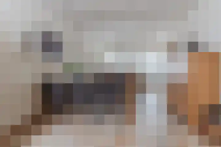 Pastoriepad 39 Hapert thumbnail 14