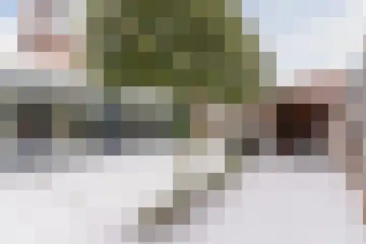 Pastoriepad 39 Hapert thumbnail 41