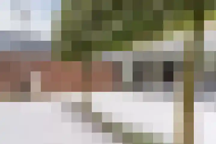 Pastoriepad 39 Hapert thumbnail 43