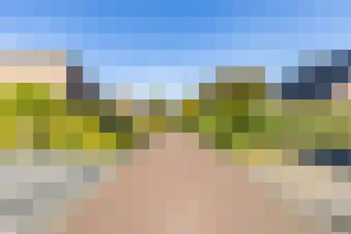 Pastorietuin 4 Harkstede thumbnail 11