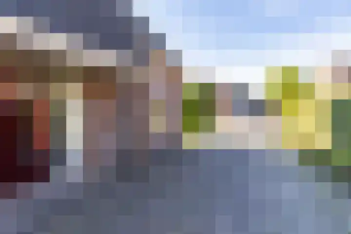 Pastorietuin 4 Harkstede thumbnail 12