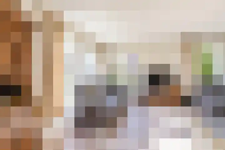 Pastorietuin 4 Harkstede thumbnail 20